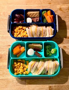 Food in bento boxes
