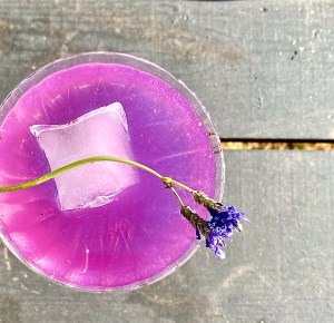 purple cocktail in a coupe glass